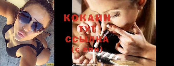 прущий лед Ельня