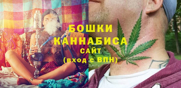 прущий лед Ельня