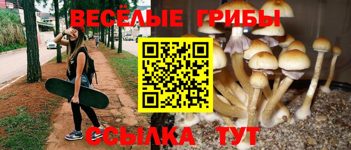 Галлюциногенные грибы Magic Shrooms Муром