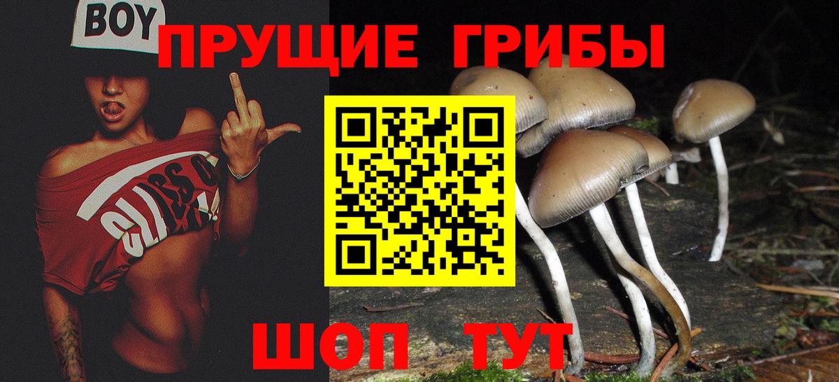 Галлюциногенные грибы мицелий  закладки  Муром  Вход с VPN  Псилоцибиновые грибы прущие грибы 